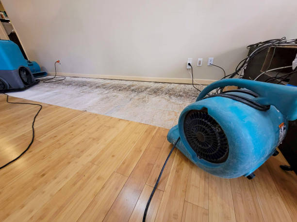 Professional Basement Flood Cleanup technician working in Marianna, FL